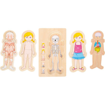 Puzzle a capas anatomía chica - El Árbol y Yo