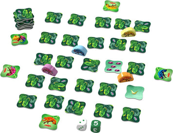 Cami Camaleón Haba. Juego de memoria + 6 años