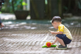 Caracol de arrastre sostenible-Plantoys