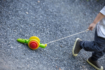 Caracol de arrastre sostenible-Plantoys