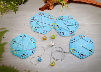 Walli la Araña | HABA | Juego +3 | Coordinación, colores y atención