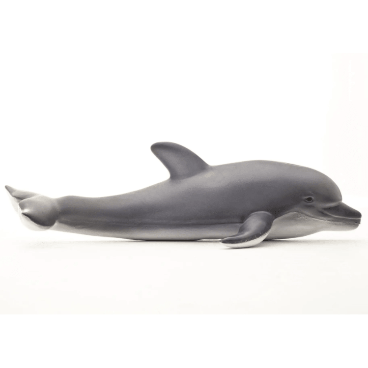 delfín de caucho